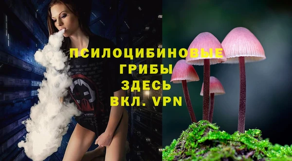 таблы Приозерск