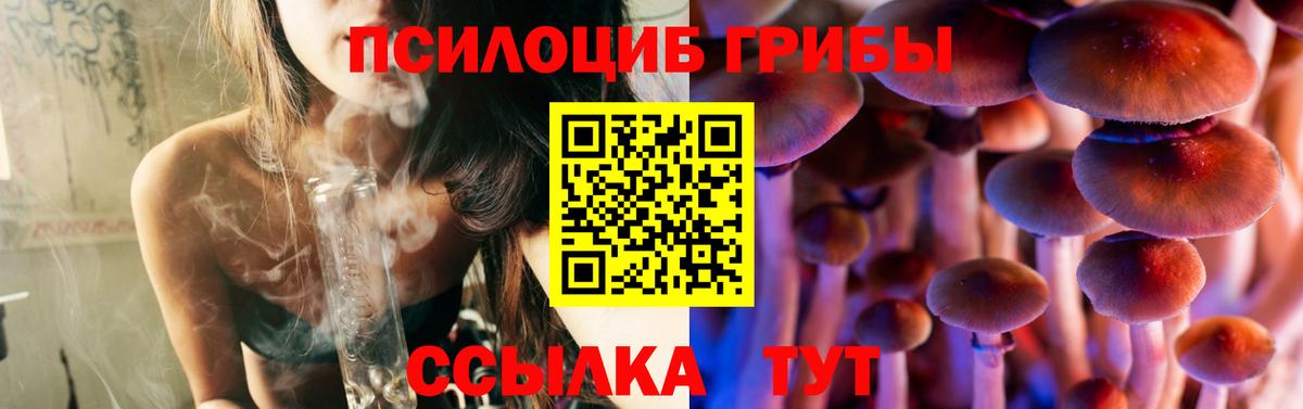 Слободской  Псилоцибиновые грибы Psilocybe  Вход с VPN 