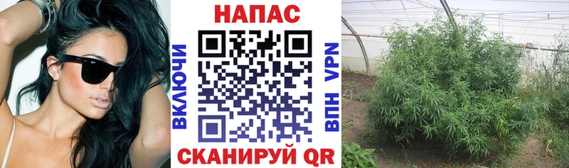наркота  Слободской  МАРИХУАНА марихуана 