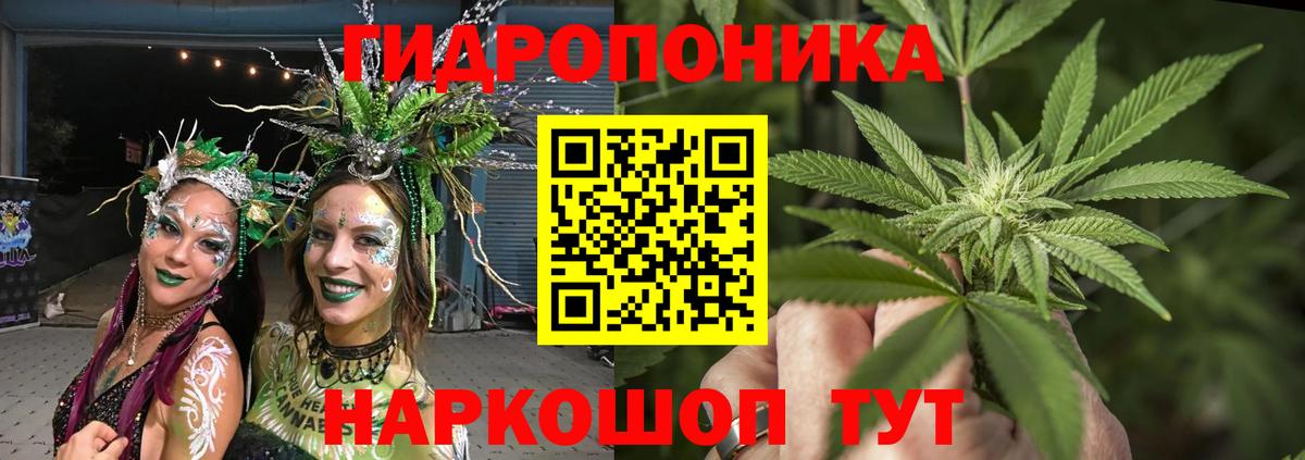 Канабис планчик  Бошки марихуана THC 21%  Вход с VPN  Слободской 
